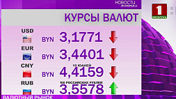 Ситуация на валютном рынке Беларуси на 31 января