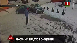 В Минске задержан 62-летний водитель с 2,5 промилле алкоголя в крови