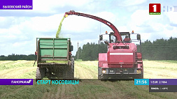В Беларуси старт зеленой жатвы