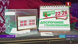 Досрочное голосование на референдуме по Конституции стартует в Беларуси 22 февраля 