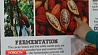 В Перу в музее какао и шоколада открылась новая экспозиция