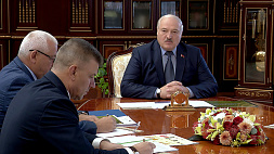 Лукашенко: Порядок в лесу - самое главное. Есть ли он в белорусских лесах?
