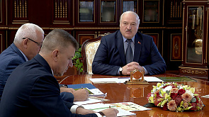 Лукашенко: Порядок в лесу - самое главное. Есть ли он в белорусских лесах?