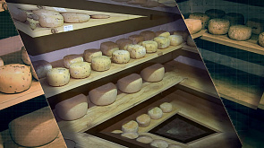 Как многодетная семья из Лиды организовала собственное сырное производство. Расскажем об успешном аграрном бизнес-проекте