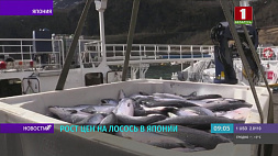 Из-за закрытия российского неба в Японии растет цена на лосось