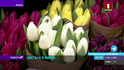Цветы к 8 Марта - в Минске организована работа 220 площадок по продаже цветочной продукции