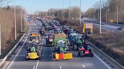 Бельгийские фермеры присоединились к французскому бунту