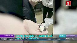 В Минске задержаны оптовые закладчики наркотиков - возбуждено уголовное дело 