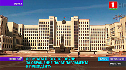 Депутаты проголосовали за обращение палат парламента к Президенту