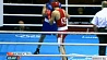 В Беларуси собрались лучшие боксеры планеты