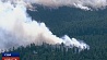 Крупные лесные пожары пылают в американском штате Аризона