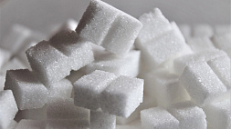 На БУТБ прошли первые сессионные торги сахаром на экспорт 
