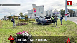 В результате ДТП в Минске пострадала цветочная клумба