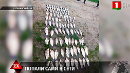 В Дзержинском районе СК возбудил сразу два уголовных дела за незаконную добычу рыбы