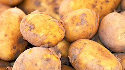 Неожиданная польза картофельных очисток 