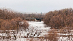 МЧС: форс-мажоров, связанных с паводком в Беларуси, на которые нужно реагировать на уровне правительства, нет