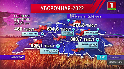 Высокие темпы: белорусские аграрии убрали около трети площадей зерновых, в лидерах Брестская область