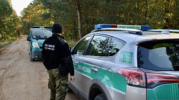 На польско-литовской границе процветает нелегальная миграция 