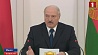 Детальный разбор демографической ситуации в Беларуси провели на совещании у Президента