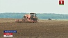 Майская жара повредила почти 40 тысяч гектаров зерновых культур