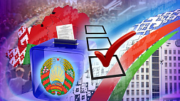 В Беларуси в кандидаты в местные Советы депутатов выдвинуты 18 996 человек