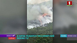 В Китае на месте падения пассажирского Boeing 737 бушует сильный лесной пожар