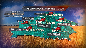 В Беларуси убрано 97 % зерновых: жатва почти завершена
