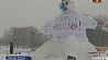 В столице России   в пятый раз  прошел фестиваль "Арт-битва снеговиков"