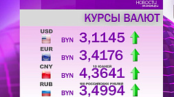 Курсы валют на 30 ноября: белорусский рубль ослаб ко всем основным валютам 