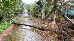 Циклон "Мокко" обрушился на Мьянму и Бангладеш - более 700 человек пострадали
