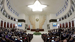 Депутаты приняли законопроект о приостановлении участия Беларуси в ДОВСЕ