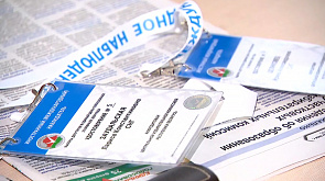 Иностранная комиссия посетила избирательные участки в Несвиже