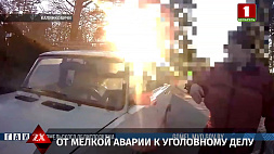 Ударила сотрудника ДПС - в Калинковичах женщина скрылась с места ДТП, но ГАИ приехала к ней домой