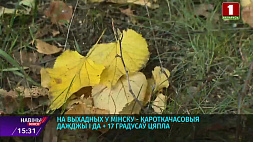 В выходные в Минске кратковременные дожди и до 17 градусов тепла