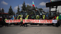 Болгарские фермеры вновь выступают против украинского зерна