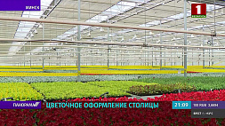 В Минске в этом сезоне высадят полтора миллиона однолетних растений