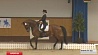 Центр подготовки конного спорта в Ратомке принял этап Кубка мира по выездке