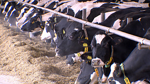 В Минской области строится 26 новых молочно-товарных ферм