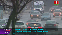 Штормовые выходные: оранжевый уровень опасности из-за усиления ветра объявлен в Минске и области 