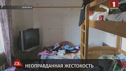 Следователи разбираются в обстоятельствах дела об убийстве ребенка в Бобруйске