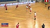 БГК имени Мешкова и минский СКА поспорят сегодня за Кубок Беларуси по гандболу