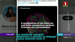 ВОЗ: заражение гибридом "омикрона" и "дельты" не приводит к более тяжелому COVID-19