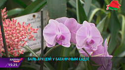 Бал орхидей в Ботаническом саду в Минске