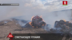 В Шарковщине школьники сожгли 60 рулонов сухой травы - ущерб  3,5 тысячи рублей