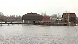 Паводок в Гомельской области - на большинстве рек сохраняется рост уровня воды от 1 до 28 см в сутки