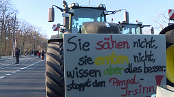 "Все овощи съел Шольц и Зеленский": кто протестует в Германии и почему