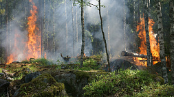 В Испании из-за лесного пожара эвакуированы 135 человек