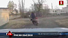 В Витебском районе пьяный водитель мопеда перевозил ребенка и пытался скрыться от ГАИ
