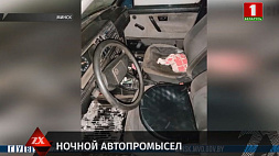 Серийный автовор задержан в Минске
