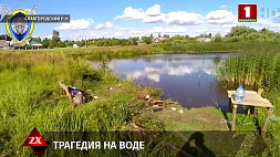 В Славгороде утонула 8-летняя девочка